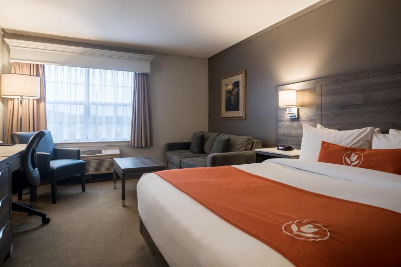 Amsterdam Inn & Suites Moncton Dış mekan fotoğraf