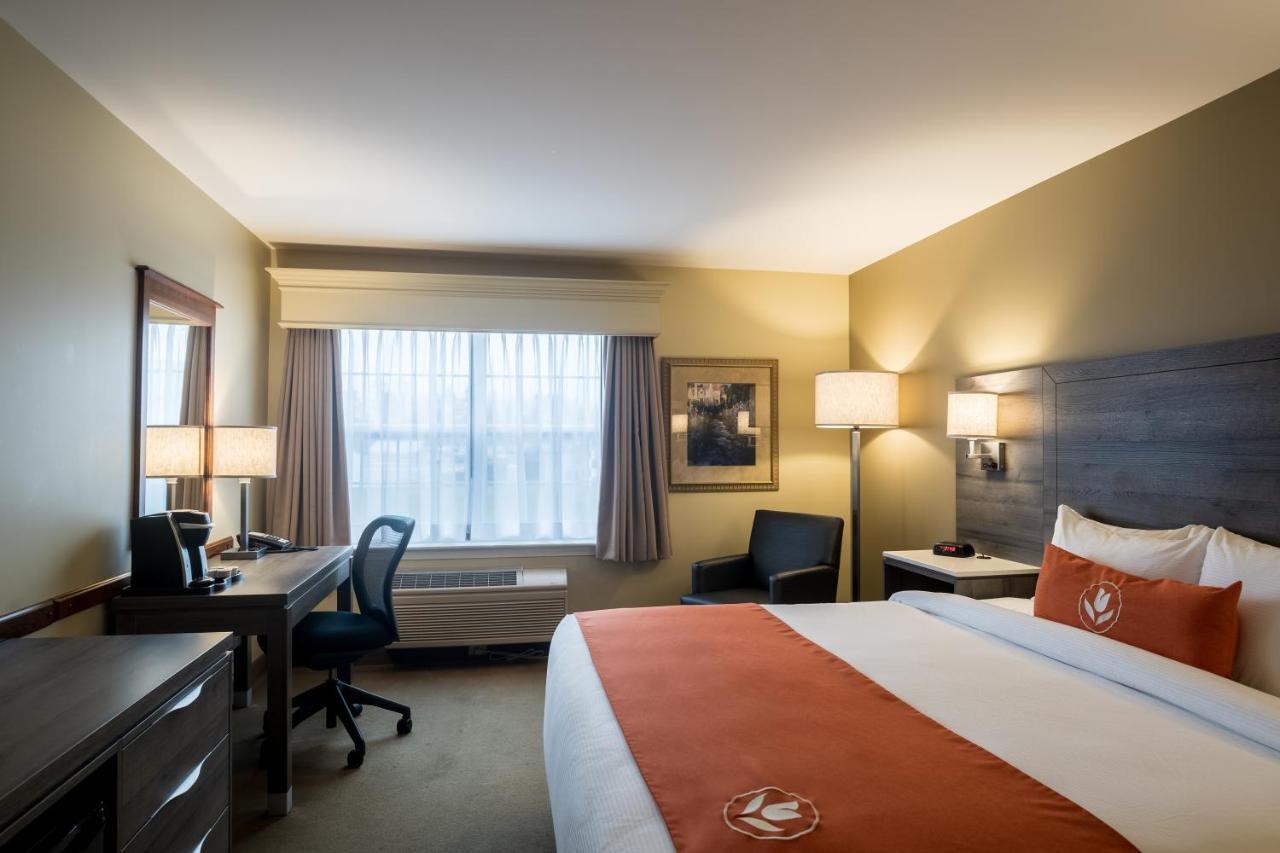 Amsterdam Inn & Suites Moncton Dış mekan fotoğraf